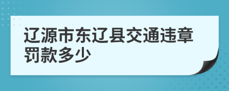 辽源市东辽县交通违章罚款多少