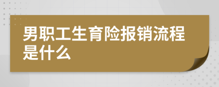 男职工生育险报销流程是什么