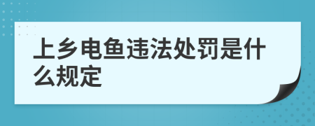 上乡电鱼违法处罚是什么规定