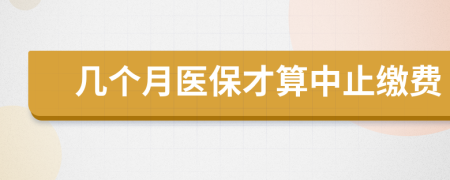 几个月医保才算中止缴费