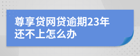 尊享贷网贷逾期23年还不上怎么办