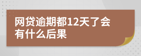 网贷逾期都12天了会有什么后果