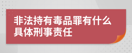 非法持有毒品罪有什么具体刑事责任