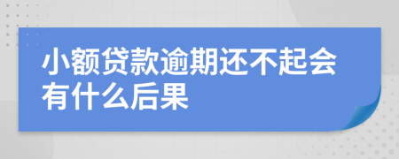 小额贷款逾期还不起会有什么后果