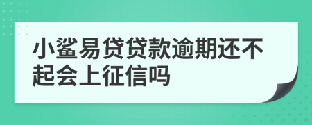 小鲨易贷贷款逾期还不起会上征信吗