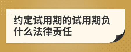 约定试用期的试用期负什么法律责任