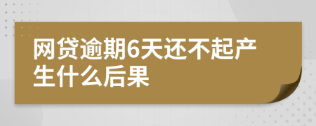 网贷逾期6天还不起产生什么后果