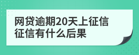 网贷逾期20天上征信征信有什么后果