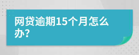 网贷逾期15个月怎么办？