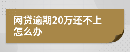 网贷逾期20万还不上怎么办