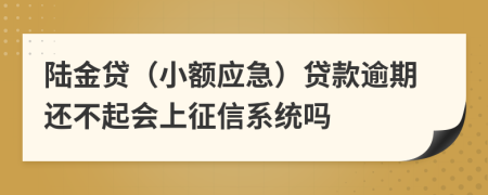 陆金贷（小额应急）贷款逾期还不起会上征信系统吗