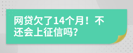 网贷欠了14个月！不还会上征信吗？