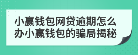小赢钱包网贷逾期怎么办小赢钱包的骗局揭秘