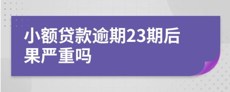 小额贷款逾期23期后果严重吗