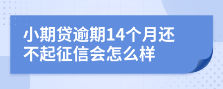 小期贷逾期14个月还不起征信会怎么样