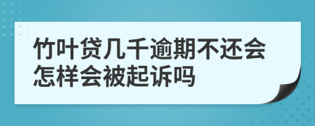 竹叶贷几千逾期不还会怎样会被起诉吗