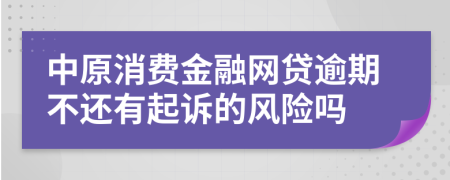 中原消费金融网贷逾期不还有起诉的风险吗