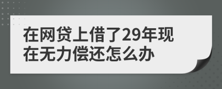 在网贷上借了29年现在无力偿还怎么办