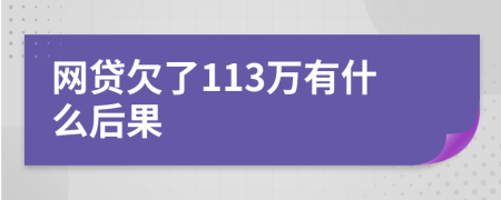 网贷欠了113万有什么后果