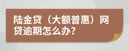 陆金贷（大额普惠）网贷逾期怎么办？