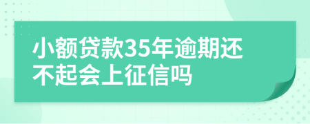 小额贷款35年逾期还不起会上征信吗