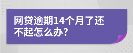 网贷逾期14个月了还不起怎么办?