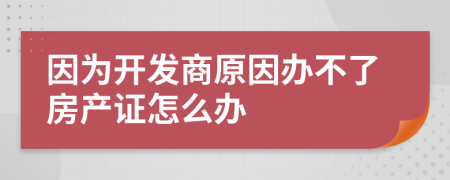 因为开发商原因办不了房产证怎么办