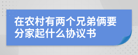 在农村有两个兄弟俩要分家起什么协议书