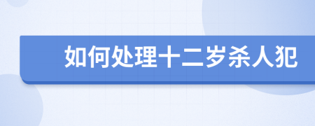如何处理十二岁杀人犯