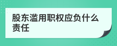 股东滥用职权应负什么责任