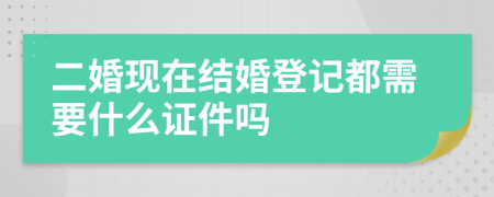 二婚现在结婚登记都需要什么证件吗