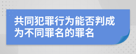 共同犯罪行为能否判成为不同罪名的罪名