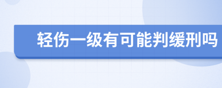 轻伤一级有可能判缓刑吗