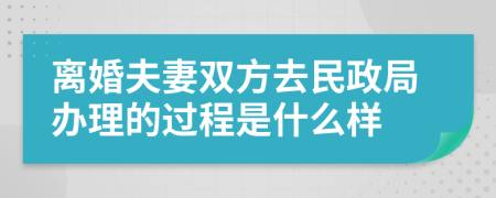 离婚夫妻双方去民政局办理的过程是什么样