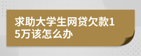 求助大学生网贷欠款15万该怎么办