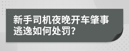 新手司机夜晚开车肇事逃逸如何处罚？