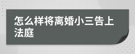 怎么样将离婚小三告上法庭