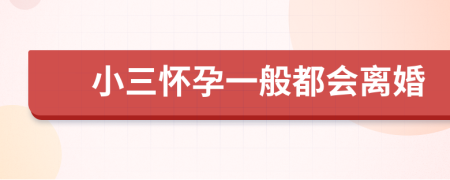 小三怀孕一般都会离婚