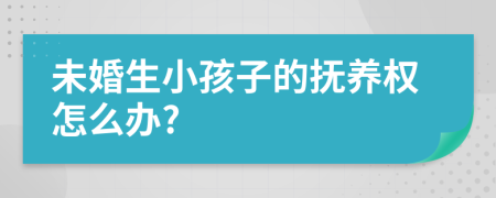 未婚生小孩子的抚养权怎么办?