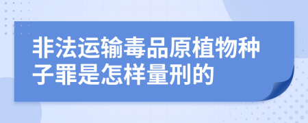 非法运输毒品原植物种子罪是怎样量刑的