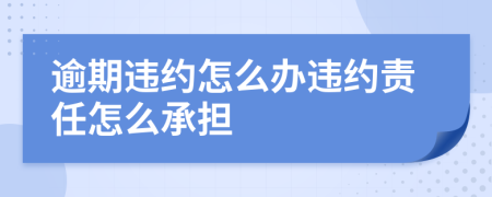 逾期违约怎么办违约责任怎么承担