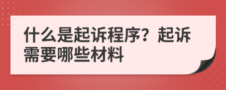 什么是起诉程序？起诉需要哪些材料