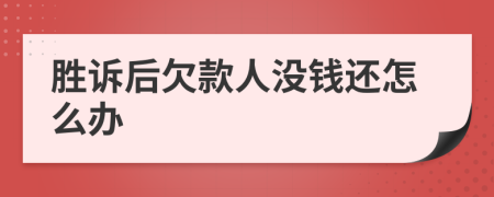 胜诉后欠款人没钱还怎么办