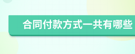 合同付款方式一共有哪些