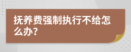 抚养费强制执行不给怎么办？