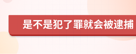 是不是犯了罪就会被逮捕