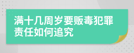 满十几周岁要贩毒犯罪责任如何追究