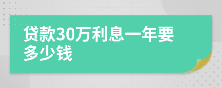 贷款30万利息一年要多少钱