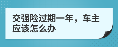 交强险过期一年，车主应该怎么办