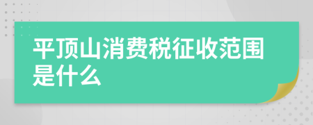 平顶山消费税征收范围是什么